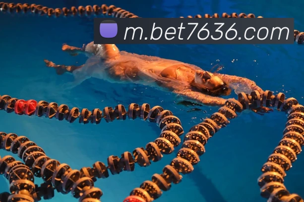 bet365com平台生态图
